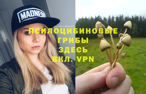 метамфетамин Белокуриха