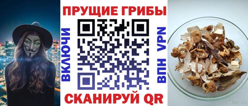 блэк спрут как войти Верхняя Пышма Галлюциногенные грибы мухоморы